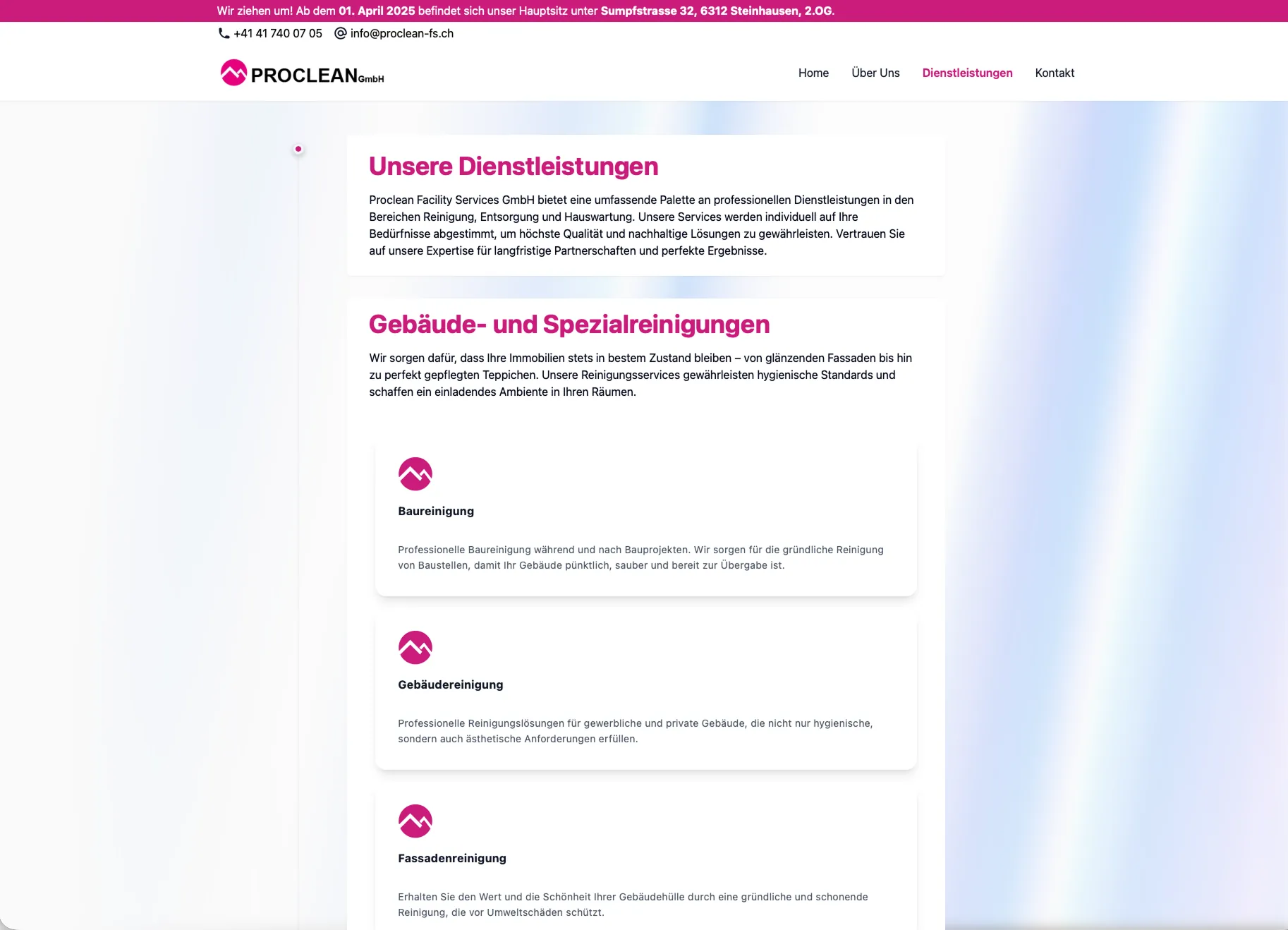 Project screenshot